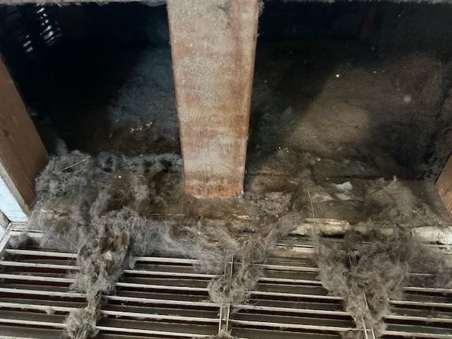 Chimney Inspection